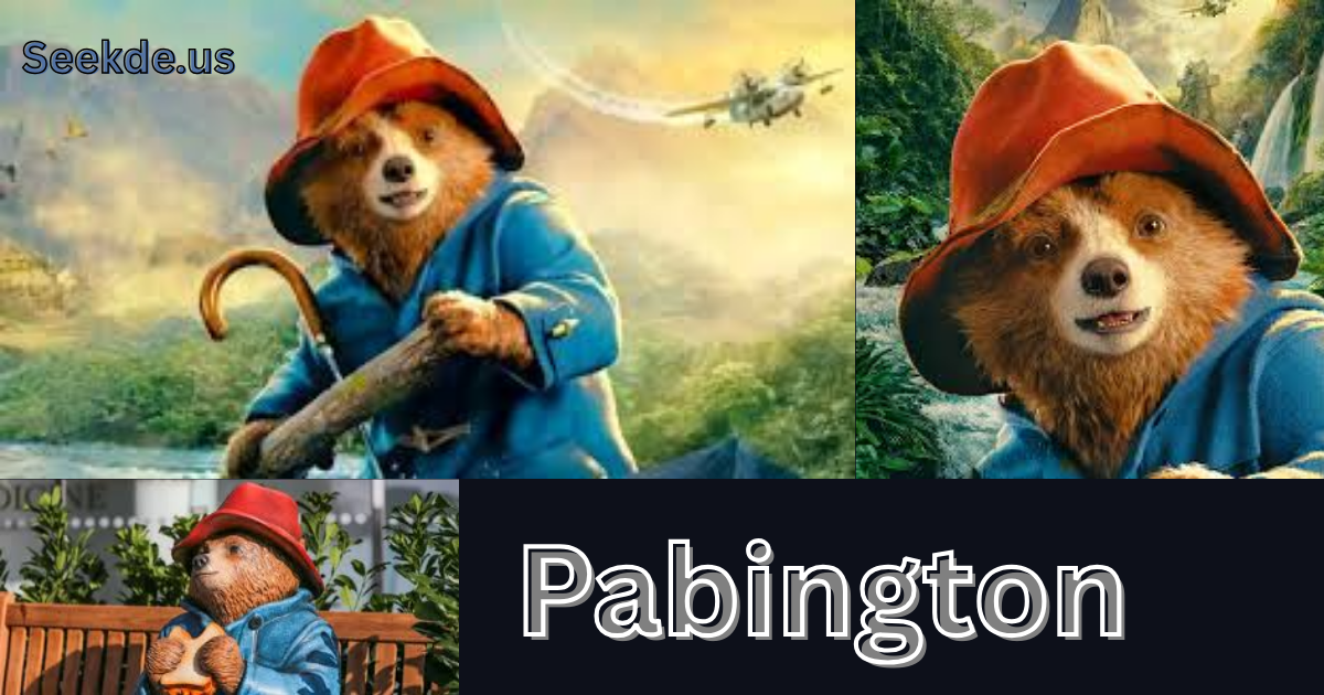 Pabington digital platform interface showing structured tools and user-friendly navigation